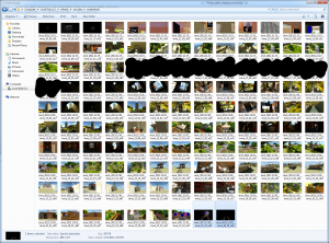 screenshots